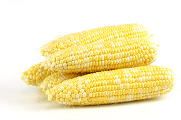 fresh raw corn cob on white background