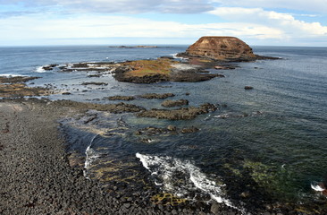Phillip Island Nature Park - green hills and rugged coastline Victoria Australia. Rocky coastline...