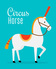 Circus white horse on blue background with inscription. Vector illustration