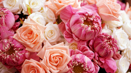 Pink roses and lotuses flower valentine background with copy spa
