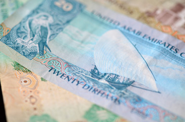 Banknote in twenty dirhams of the United Arab Emirates close up