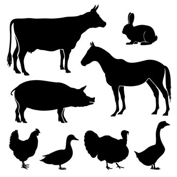 Farm, farmyard animals vector silhouettes