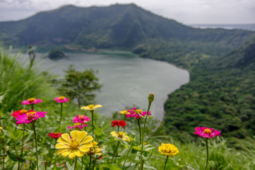 Fototapeta premium Taal Volcano lake at summit in Taal volcano Hill