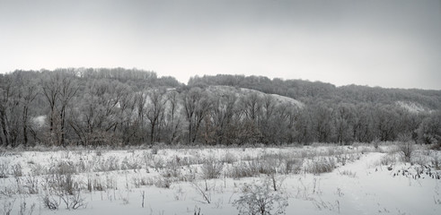 Automotive track off road in a snowy forest.