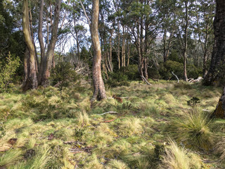 Cradle Mountain Overland Track