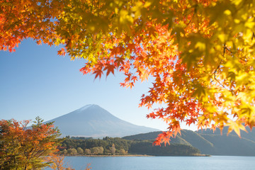 Autumn tree and Mountain Fuji at lake kawaguchiko in autumn season