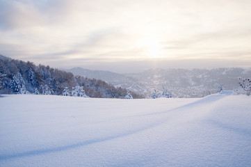 Winter sunset snow field on top of mountain on the background of taiga forest and hills