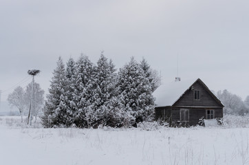 Winter landscape