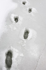 Traces of fisherman shoes. Dangerous crumbling ice during the th