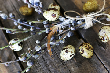 spring egg twig willow wood background