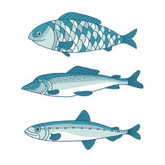 vector set fish