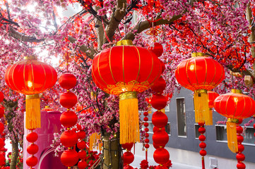 Chinese lanterns during new year festival