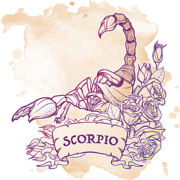 Zodiac sign Scorpio. Detailed realistic scorpio in a decorative frame of roses. Sketch isolated on white background. Concept art for tattoo design, horoscope, coloring book for adults page.