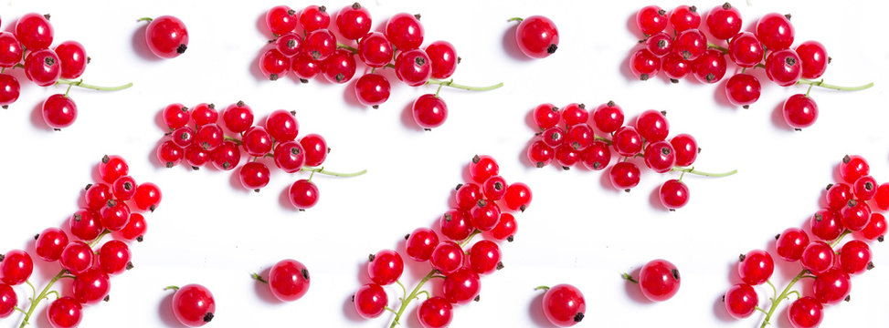  banner juicy red ripe currant