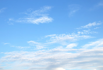 Fototapeta premium blue sky