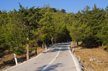 Fototapeta na wymiar Road in the forest on Rhodes island, Greece