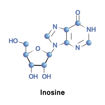 Inosine is a nucleoside of hypoxanthine attached to a ribose ring via a N9-glycosidic bond. It is found in tRNA and is essential for translation of the genetic code in wobble base pairs.