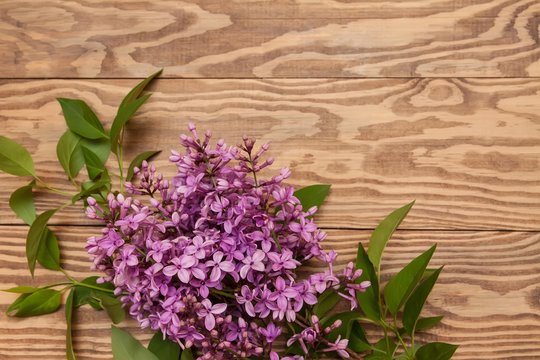 purple lilac branch on wooden background. Blank, greeting card.