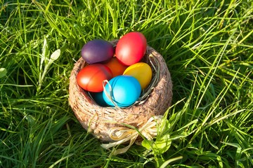 Blank, greeting easter card with Blank, greeting easter card wit