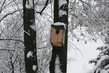 Дом птиц скворечник зимой