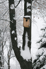 Деревянный скворечник в парке зимой