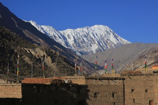 Prayer flags on the roofs of Manang