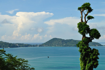 tropical landscapes