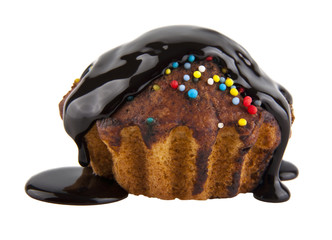cake in a chocolate