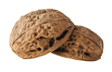 walnut