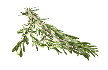 rosemary