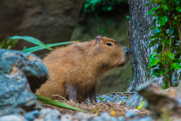 when you gotta go...