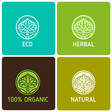Organic Natural. Eco Vintage Icons. Icons Set With Text. Natural, Eco. Herbal, Organics. Eco Food Containers. Eco Food Pack. Natural Product. Eco Logo.