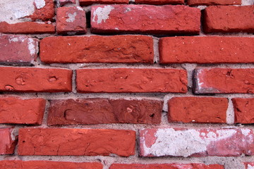 Bricks Texture, brick wall