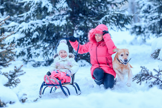 happy family with dog in winter park