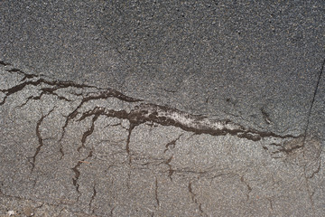 damaged  roofing felt