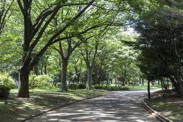 駒沢公園（東京都世田谷区）