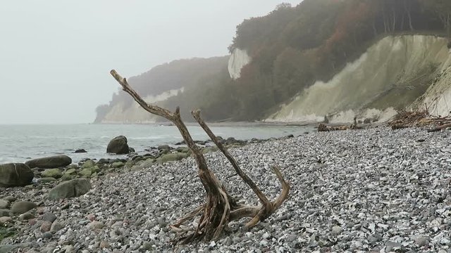 Rugen island chalk rock cliff landscape in autumn time. colorful beech tree forest. (Mecklenburg-Vorpommern, Germany)