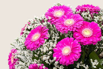 Large bouquet of pink gerberas