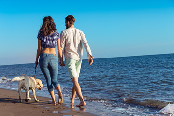 two young people running on the beach kissing and holding tight with dog