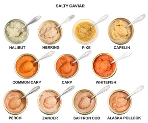 set from open tins with caviar with spoon isolated