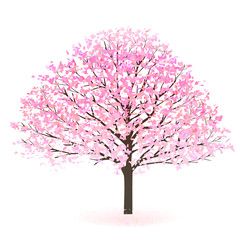 Fototapeta premium 桜 春 花 アイコン