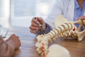 Doctor explaining anatomical spine to patient - obrazy, fototapety, plakaty
