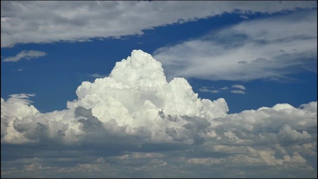 Towering Cumulus Boils up over Heated Prairie