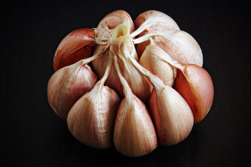 Ajo rosado sobre fondo negro