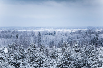 A beautiful winter landscape in nordic Europe in gray, overcast day - a view from watchtower