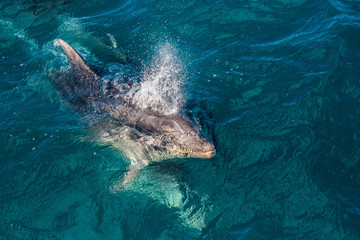 Obraz premium Taking a breath