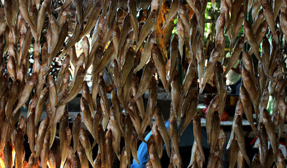 stockfish goby  in the market