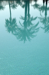 reflection in the swimming pool