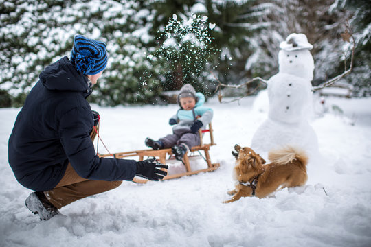 im Schnee spielen mit dem Hund
