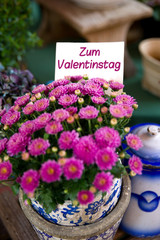Zum Valentinstag